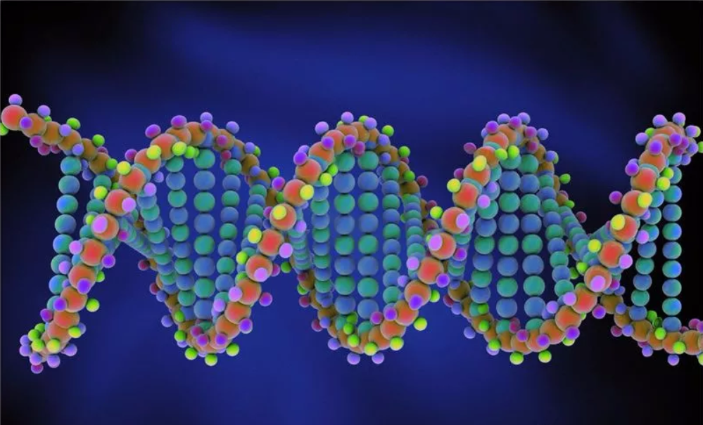 圖(tu)片名(ming)稱